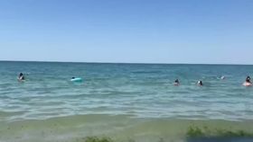 VIDEO Vremea schimbătoare pe litoral. Tragedie în mare, alge invazive și condiții meteo imprevizibile